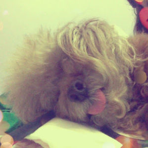 Meet your Posher, Beatriz